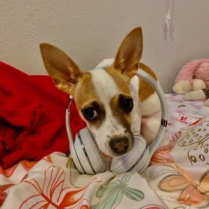 Meet your Posher, Ari